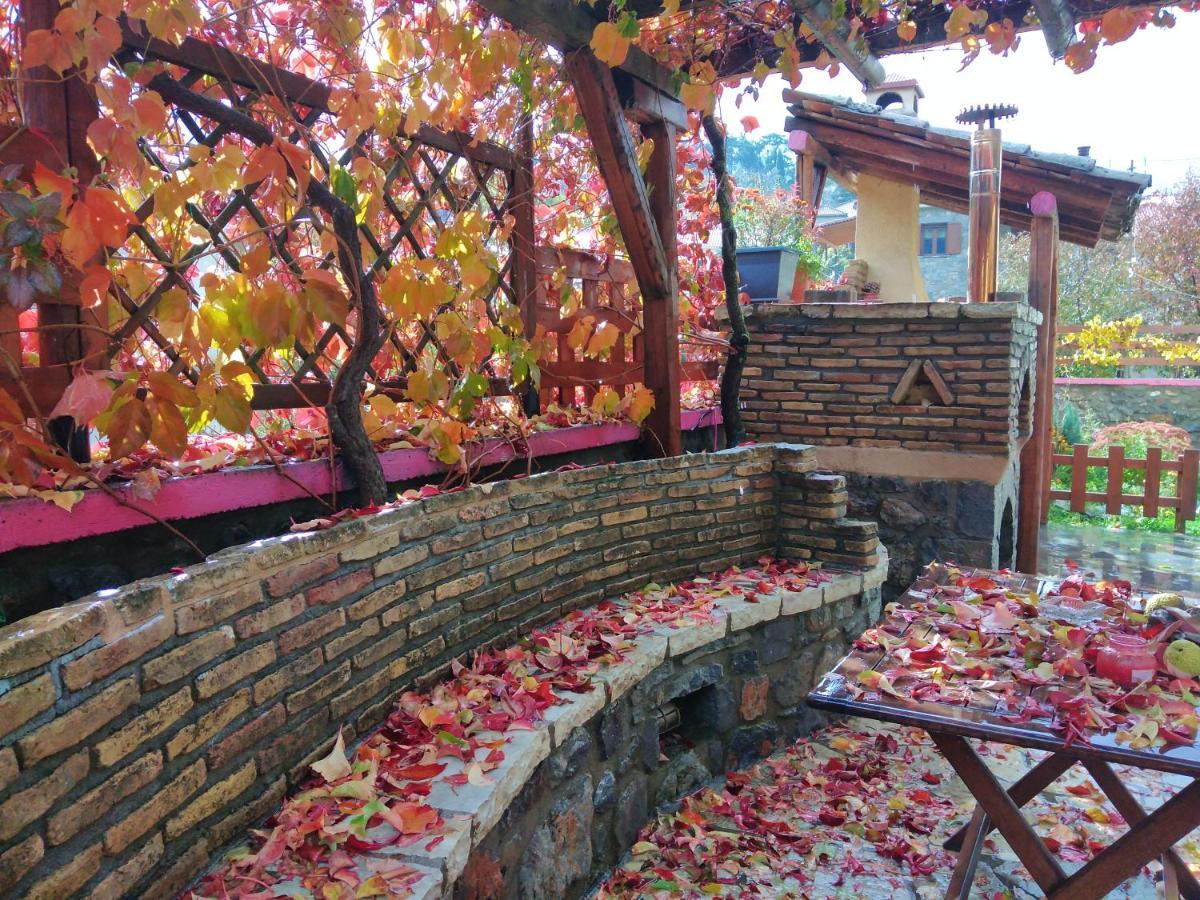 Archontiko Nikolopoulou Hotel Vytina Exterior foto