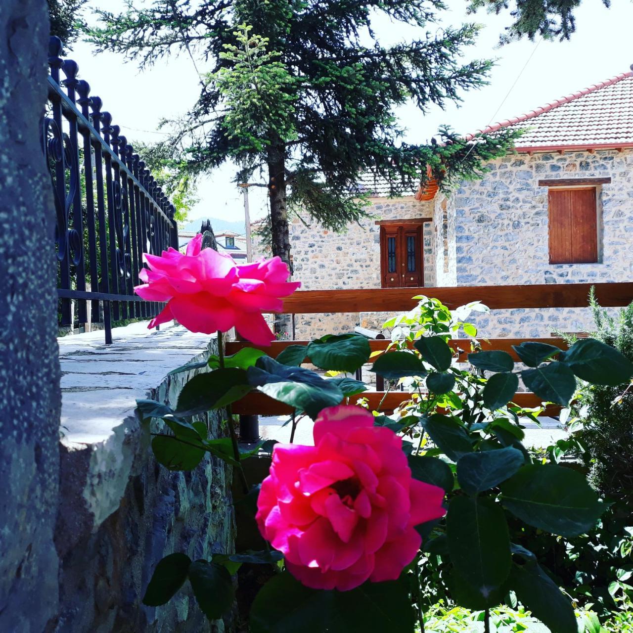 Archontiko Nikolopoulou Hotel Vytina Exterior foto