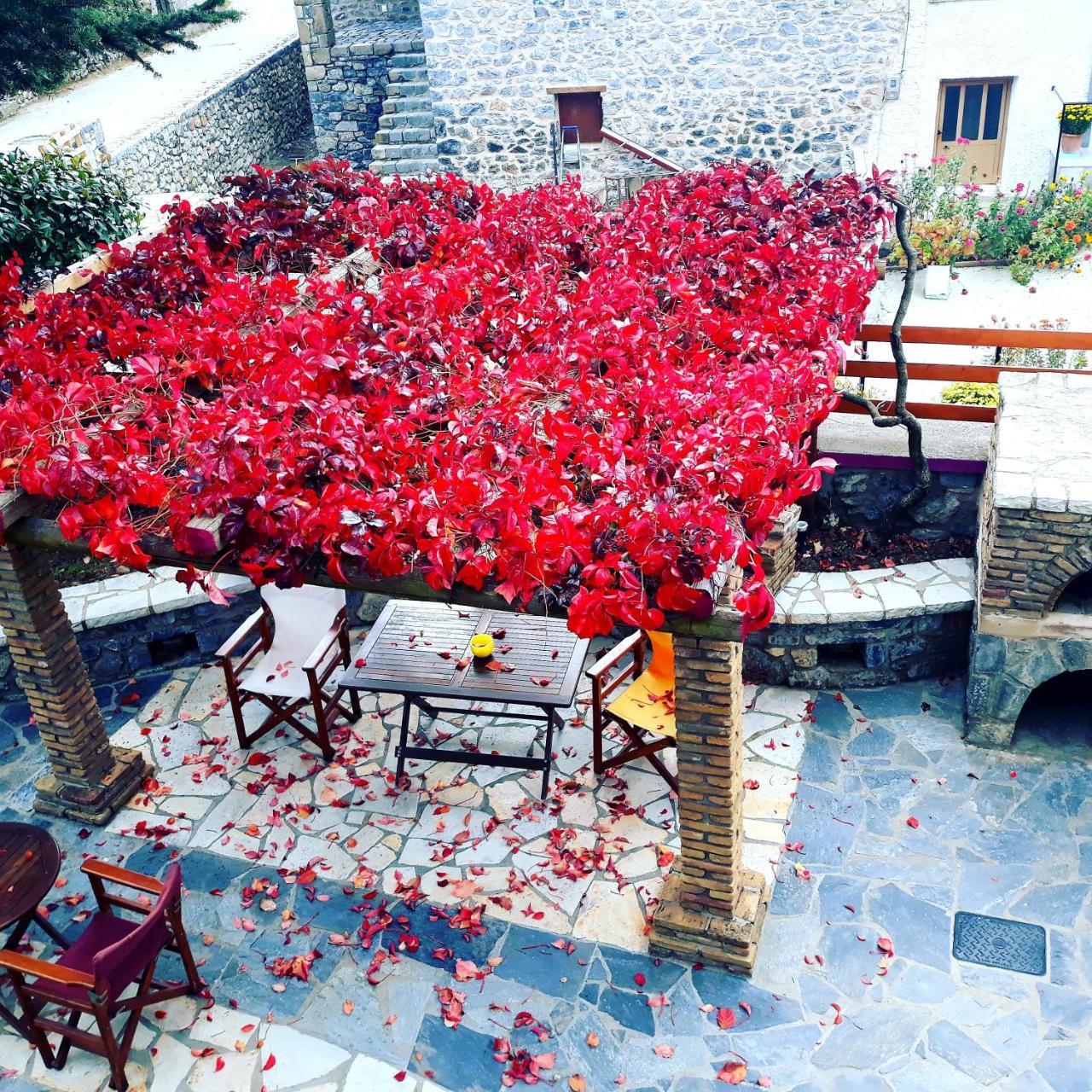 Archontiko Nikolopoulou Hotel Vytina Exterior foto